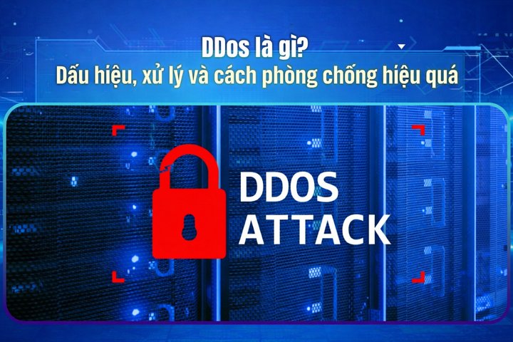 What is DDoS? Signs, Response and Effective Prevention Methods