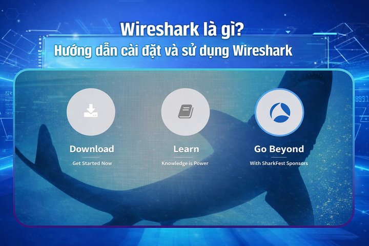 Wireshark là gì? Hướng dẫn cài đặt và sử dụng Wireshark